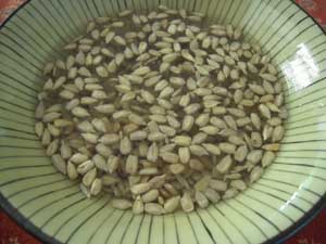Cómo hacer leche de semillas de girasol casera