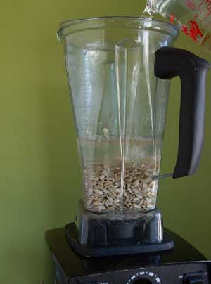 Cómo hacer leche de semillas de girasol casera