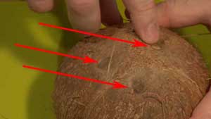 Cómo sacar el agua de un coco
