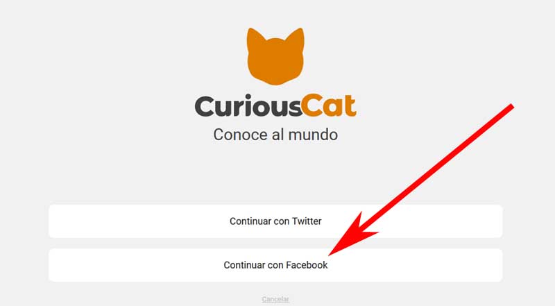 curious cat login