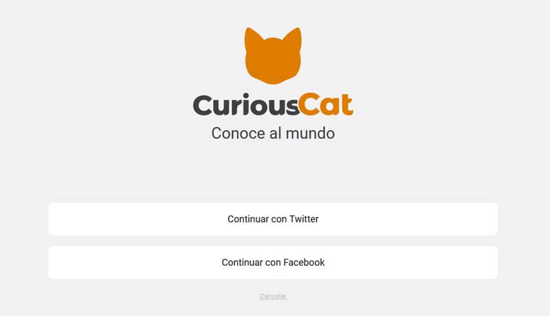 curious cat twitter