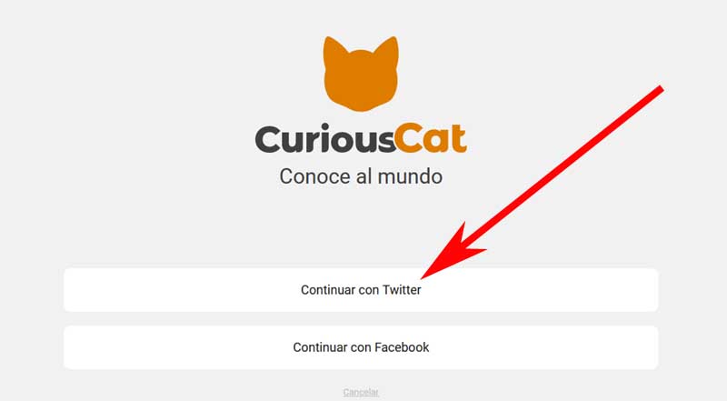 curious cat login